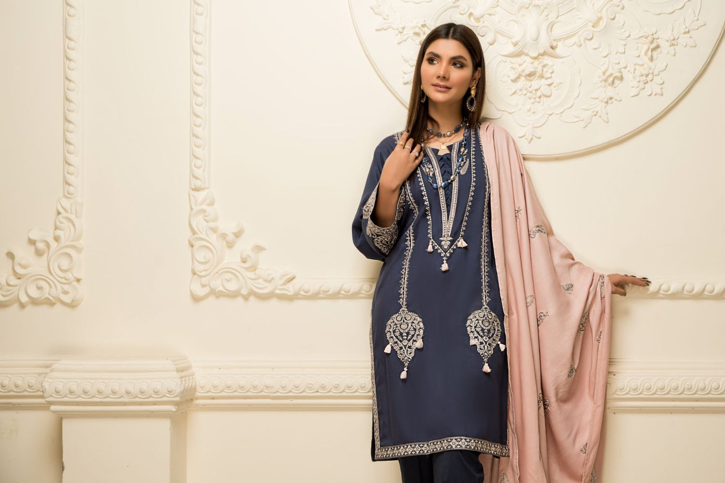 Women Solid Embroidered 2 Piece Suit - LDS732