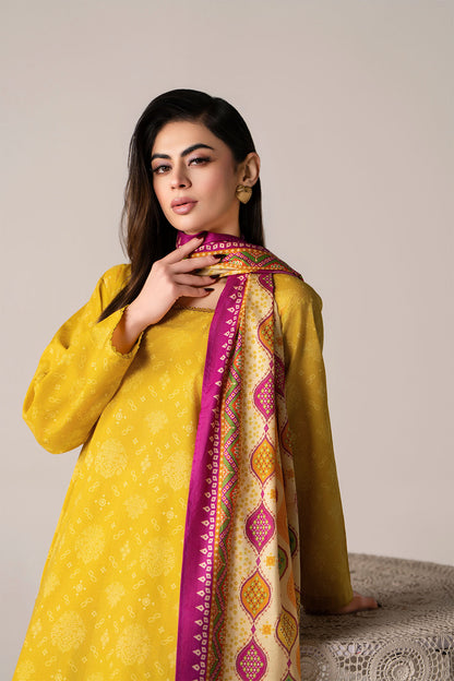 Women Printed 3 Piece Suit - SD2282