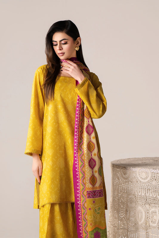 Women Printed 3 Piece Suit - SD2282