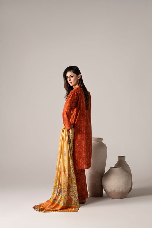 Women Printed 3 Piece Suit - SD2283