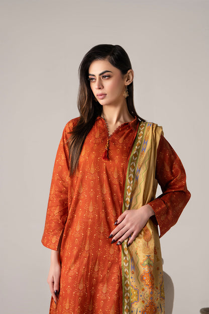 Women Printed 3 Piece Suit - SD2283