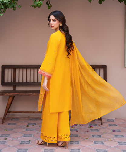 Women Solid Embroidered 3 Piece Suit - UDE231