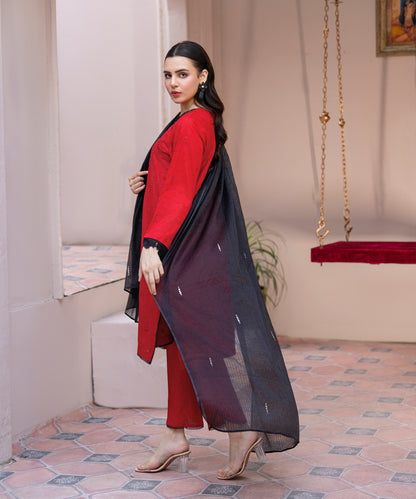 Women Solid Embroidered 3 Piece Suit - UDE239