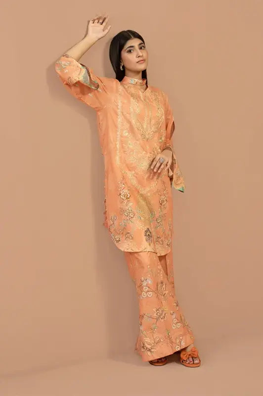 Women Printed Embroidered 2 Piece Suit - CLC552