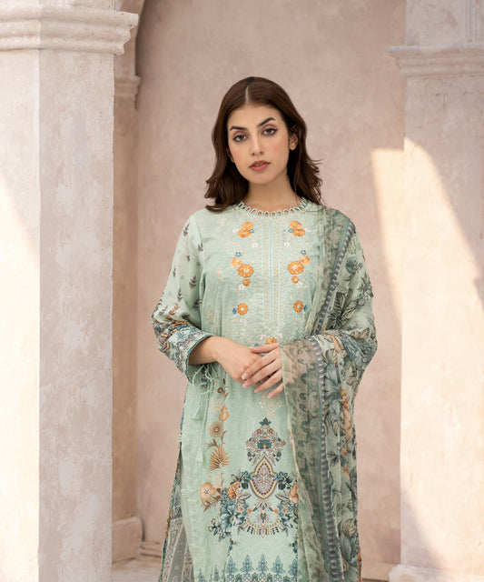 Women Printed Embroidered 2 Piece Suit - CLC557
