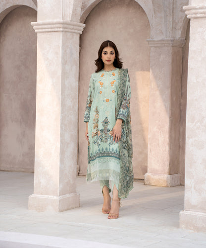 Women Printed Embroidered 2 Piece Suit - CLC557