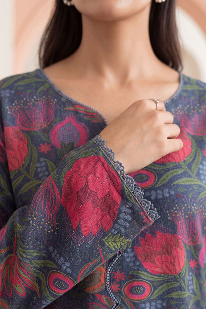 Women Embroidered 3 Piece Suit - CLC665