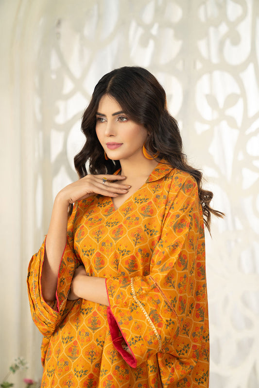 Dhanak Collectionection Co-Ords - DHNK33