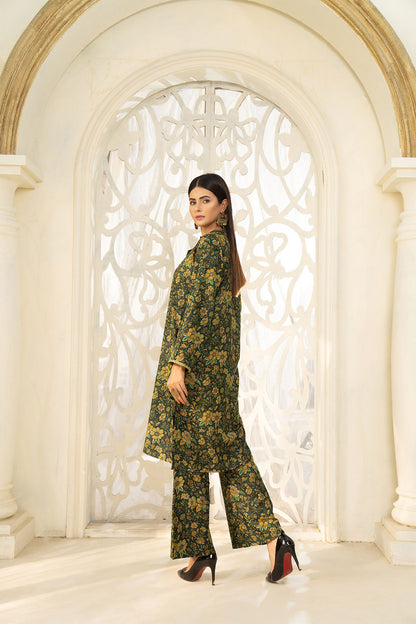 Dhanak Collection Co-Ords - DHNK35