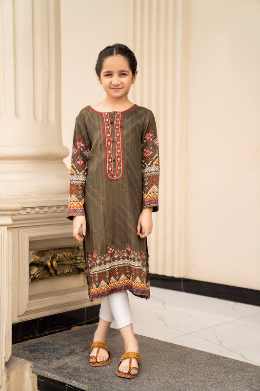 Girls Printed Embroidered Shirt