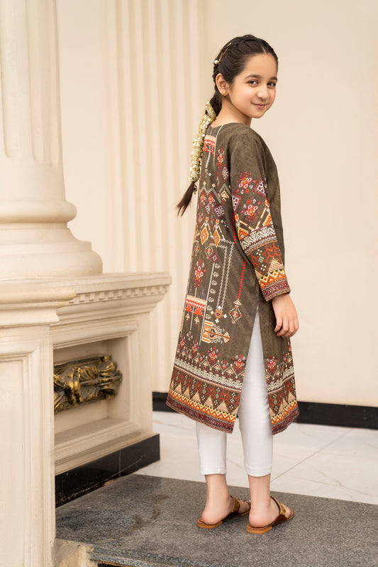 Girls Printed Embroidered Shirt