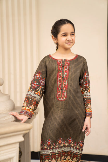 Girls Printed Embroidered Shirt