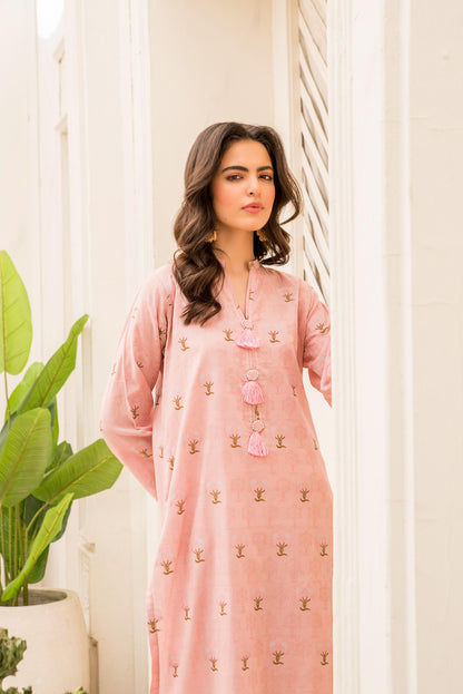 Women Solid Embroidered Shirt - LDS883