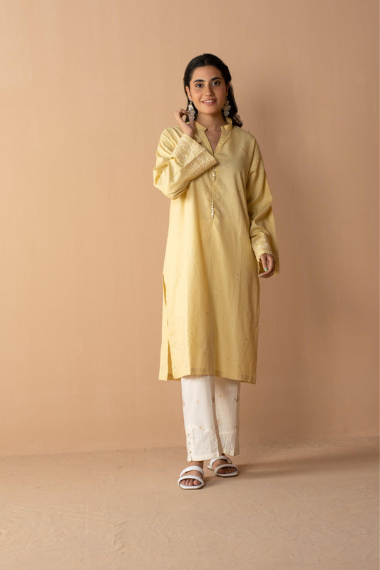 Women Solid Embroidered Shirt - LDS879