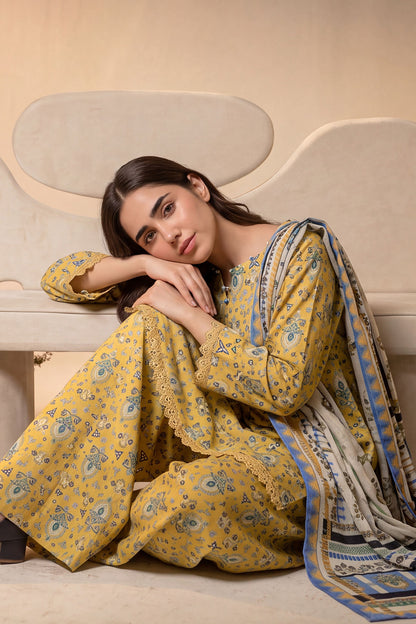 Women 3 Piece Printed Suit - DTD176