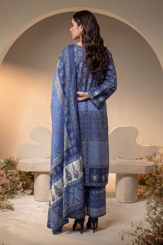 Women 3 Piece Printed Suit - DTD182