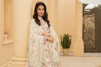 3 Piece Anarkali Digital-124