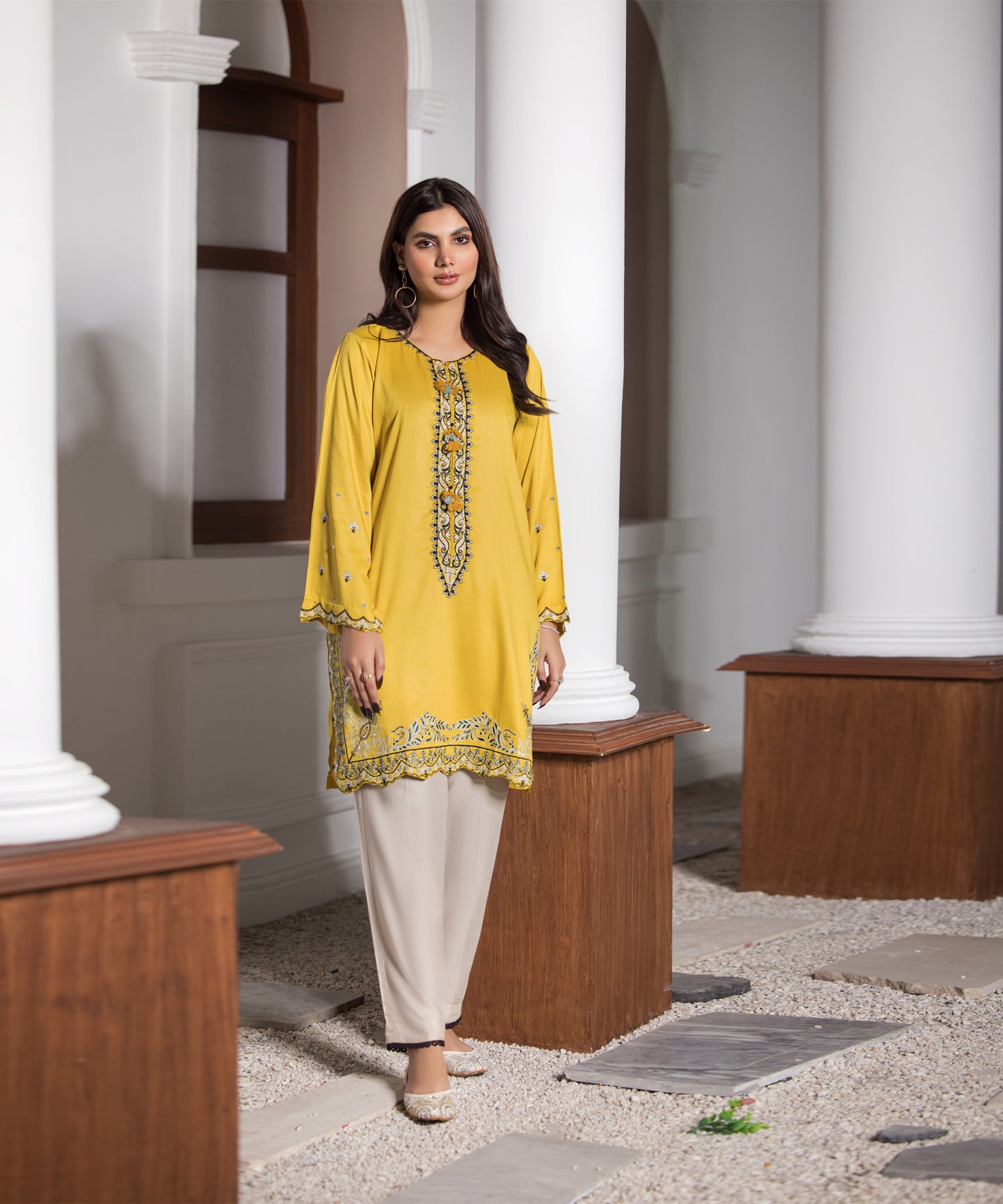 Women Solid Embroidered Shirt - LDS1024