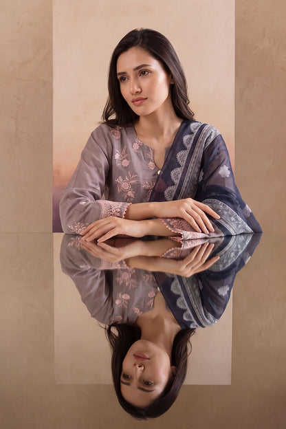 Women 3 Piece Solid Embroidered Suit - LDS1801