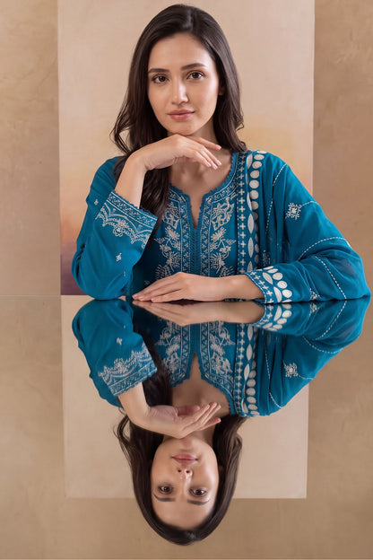 Women 3 Piece Solid Embroidered Suit - LDS2029