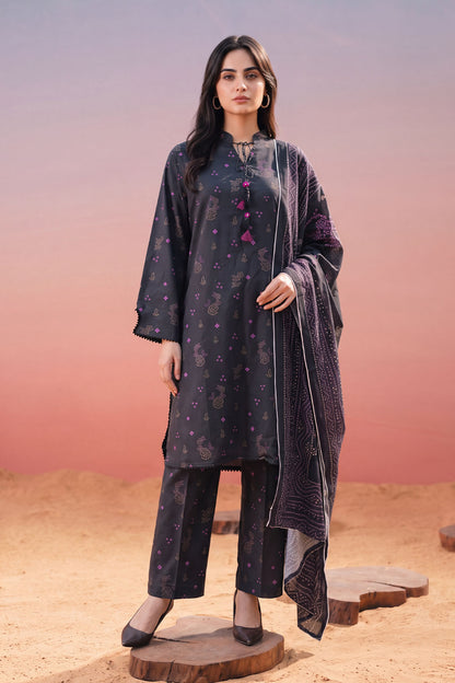 Women 3 Piece Printed Suit - LDS2035