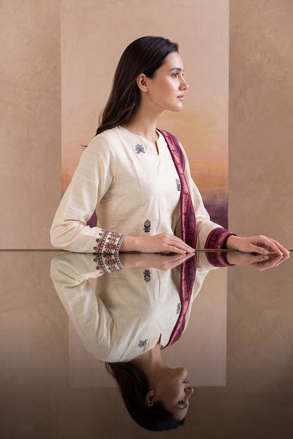 Women 3 Piece Solid Embroidered Suit - LDS2204