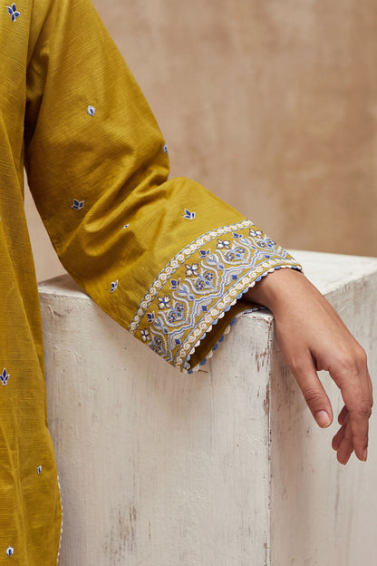 Women 3 Piece Solid Embroidered Suit - LDS2310