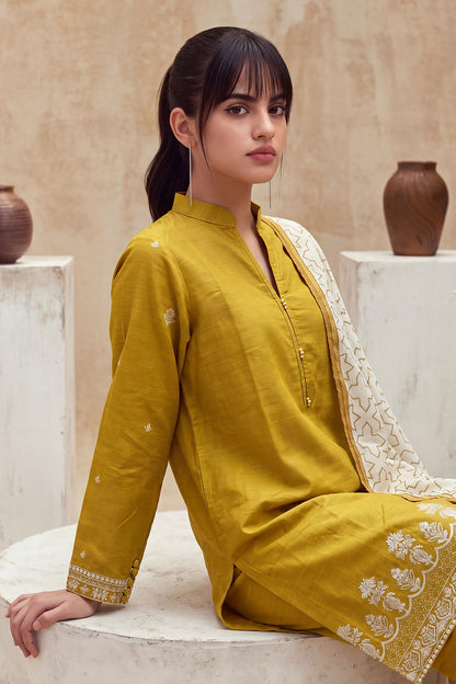 Women 3 Piece Solid Embroidered Suit - LDS2310
