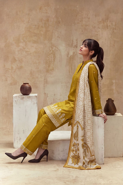 Women 3 Piece Solid Embroidered Suit - LDS2310