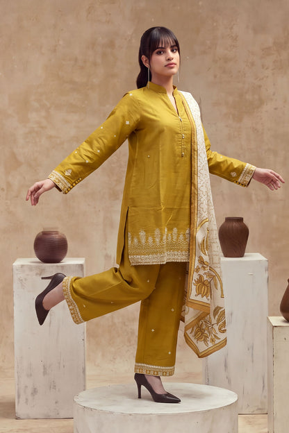 Women 3 Piece Solid Embroidered Suit - LDS2310