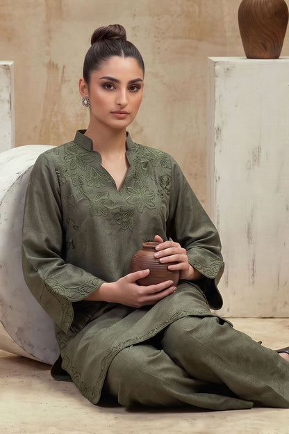 Women 2 Piece Solid Embroidered Suit - LDS2352