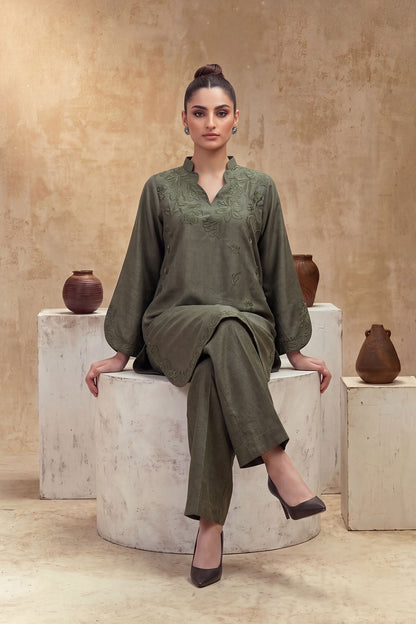 Women 2 Piece Solid Embroidered Suit - LDS2352