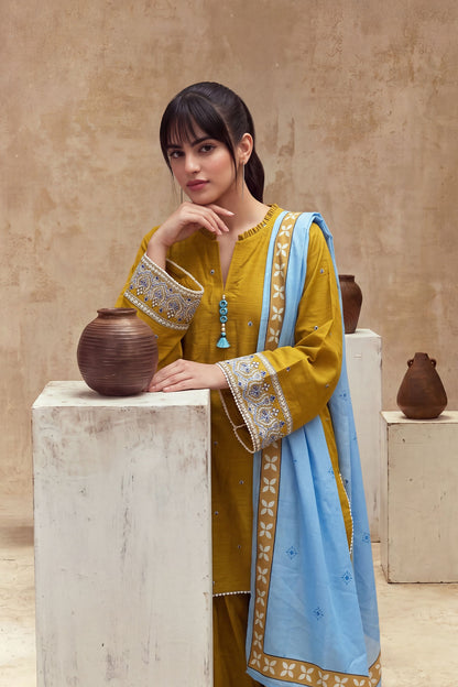 Women 3 Piece Solid Embroidered Suit - LDS2387