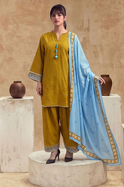 Women 3 Piece Solid Embroidered Suit - LDS2387