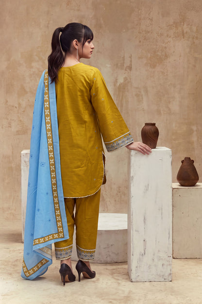 Women 3 Piece Solid Embroidered Suit - LDS2387