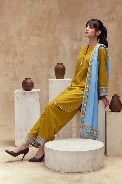 Women 3 Piece Solid Embroidered Suit - LDS2387
