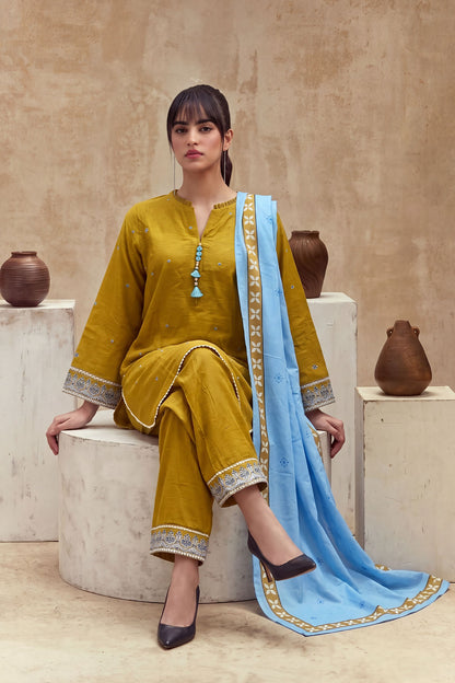 Women 3 Piece Solid Embroidered Suit - LDS2387