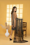 3PC Embroidered Suit - LDS 775