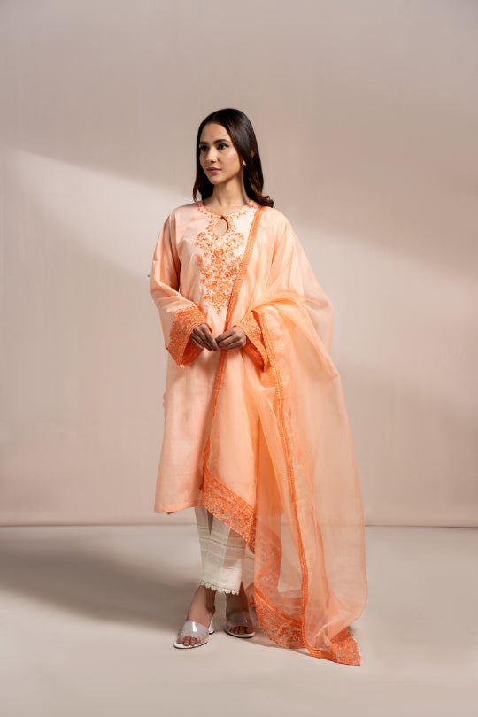 Women Solid Embroidered Shirt - LDS870