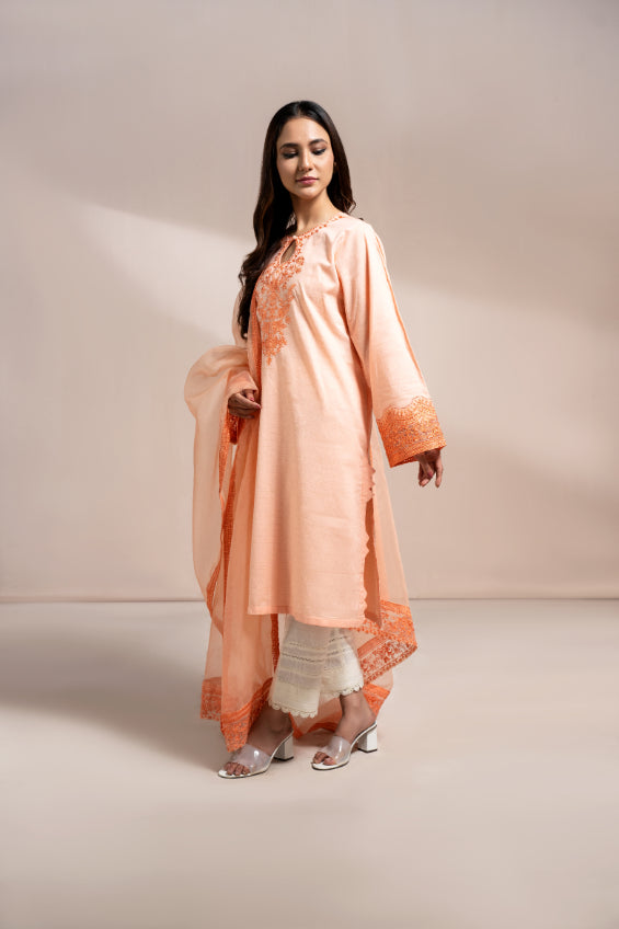 Women Solid Embroidered Shirt - LDS870