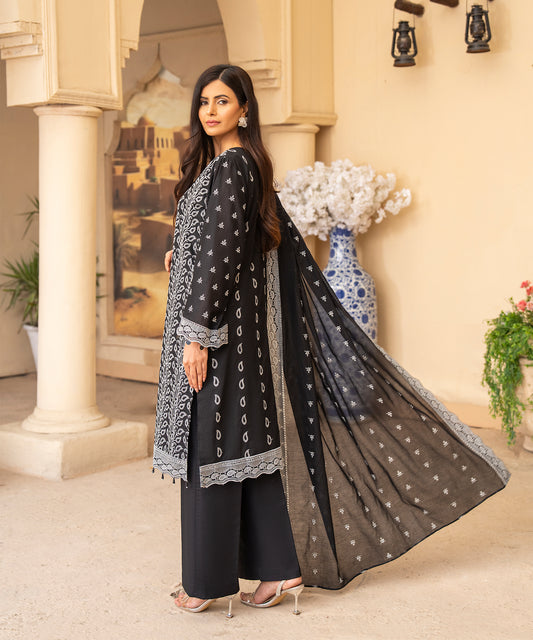 3PC Universal Dyed Embroidered Collection - 2507