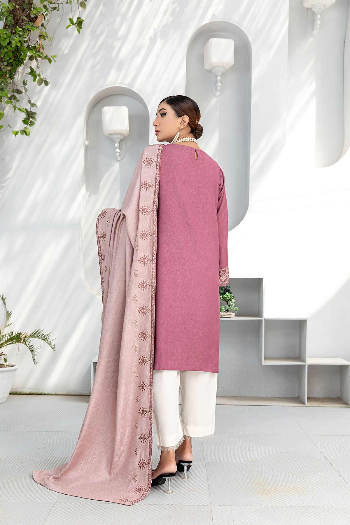 Women Solid Embroidered 2 Piece Suit - LDS827