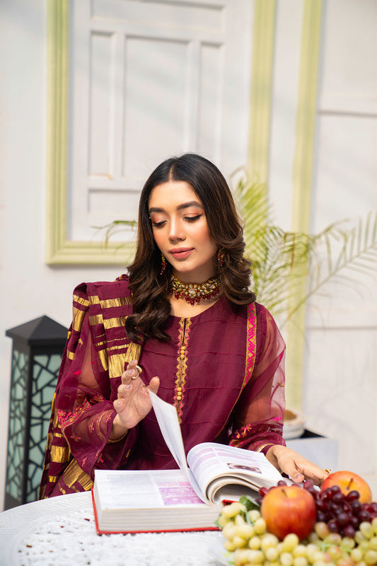 Women Solid Embroidered 3 Piece Suit - LDS852