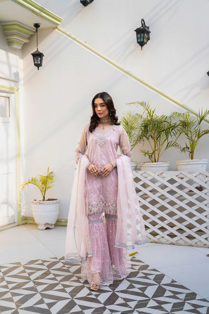 Women Solid Embroidered 3 Piece Suit - LDS844