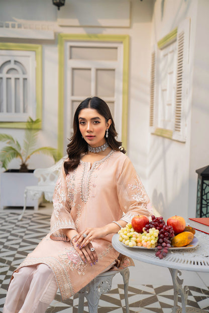 Women Solid Embroidered Shirt - LDS843