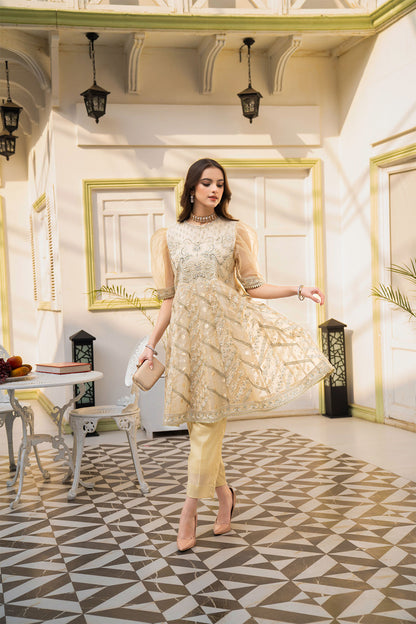 Women Solid Embroidered Shirt - LDS816