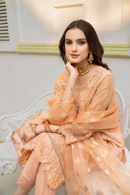 Women Solid Embroidered 3 Piece Suit - LDS799