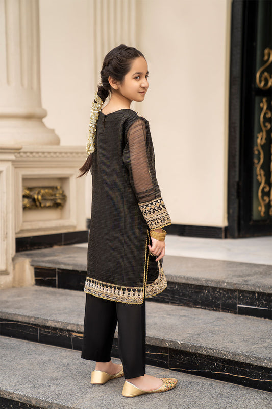Girls Solid Embroidered 2 piece Suit