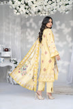 3PC Sapna Digital Suit  2108