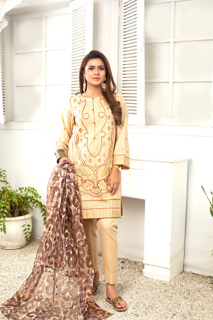 Women Solid Embroidered 2 Piece Suit - LDS554